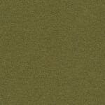 Kolor ścian wewnętrznych - MC-2497-62048 Oliwkowy