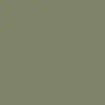 Colour of the seat - Olive RAL 6013