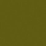 C-43 Jasny oliwkowy