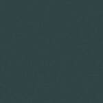 C-39 Ciemny miętowy