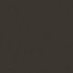 C-12 Ciemny brązowy