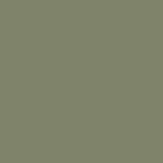 Colour of the supporting leg - Olive semi-matte RAL 6013
