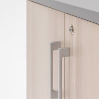 szafa Basic: akacja, aluminium satinato