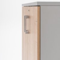 szafa Standard: dąb miodowy, aluminium satinato