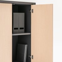 szafa Gravity: fornir wiąz, RAL9004