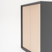 szafa Gravity: fornir wiąz, RAL9004