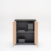 szafa Gravity: fornir wiąz, RAL9004
