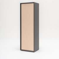 Gravity: wiąz, RAL9004
