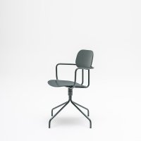 New School: RAL6012