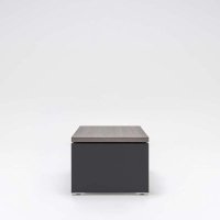 Mito: robinia